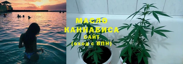 твердый Бородино
