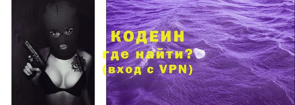 твердый Бородино
