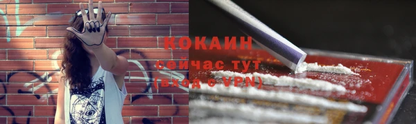 твердый Бородино