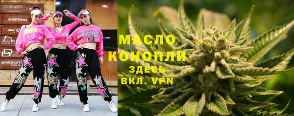 твердый Бородино
