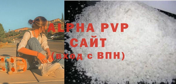 твердый Бородино