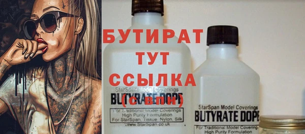 твердый Бородино