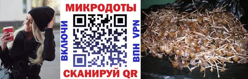 Галлюциногенные грибы ЛСД  kraken зеркало  Кирово-Чепецк 